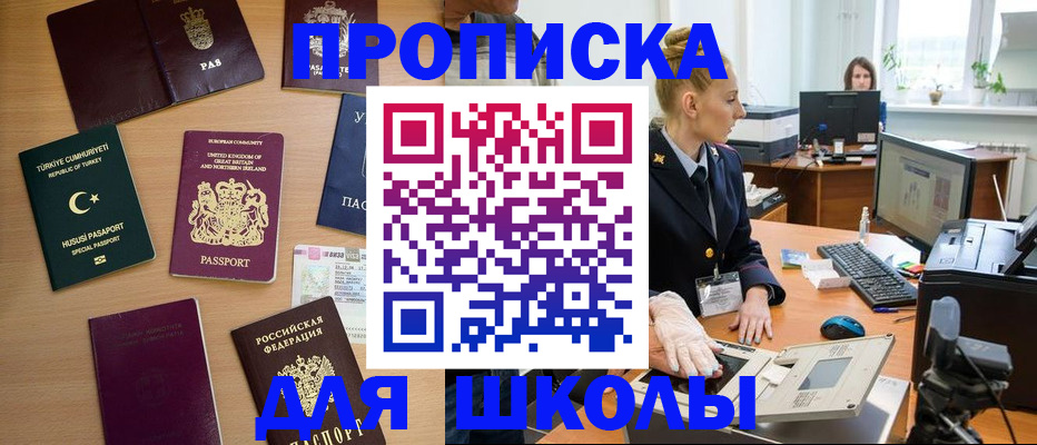 где прописаться в Волхове